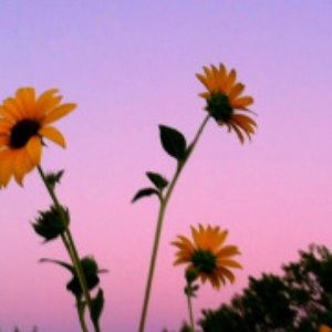 Meet your Posher, Sophia